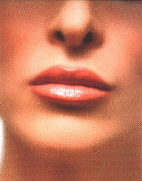 lower face - nose & lips, cover picture.jpg (69028 bytes)