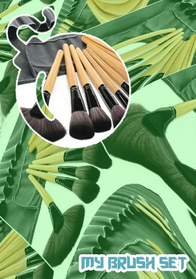 Makeup brush set with bag